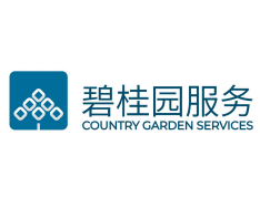 碧桂园案例