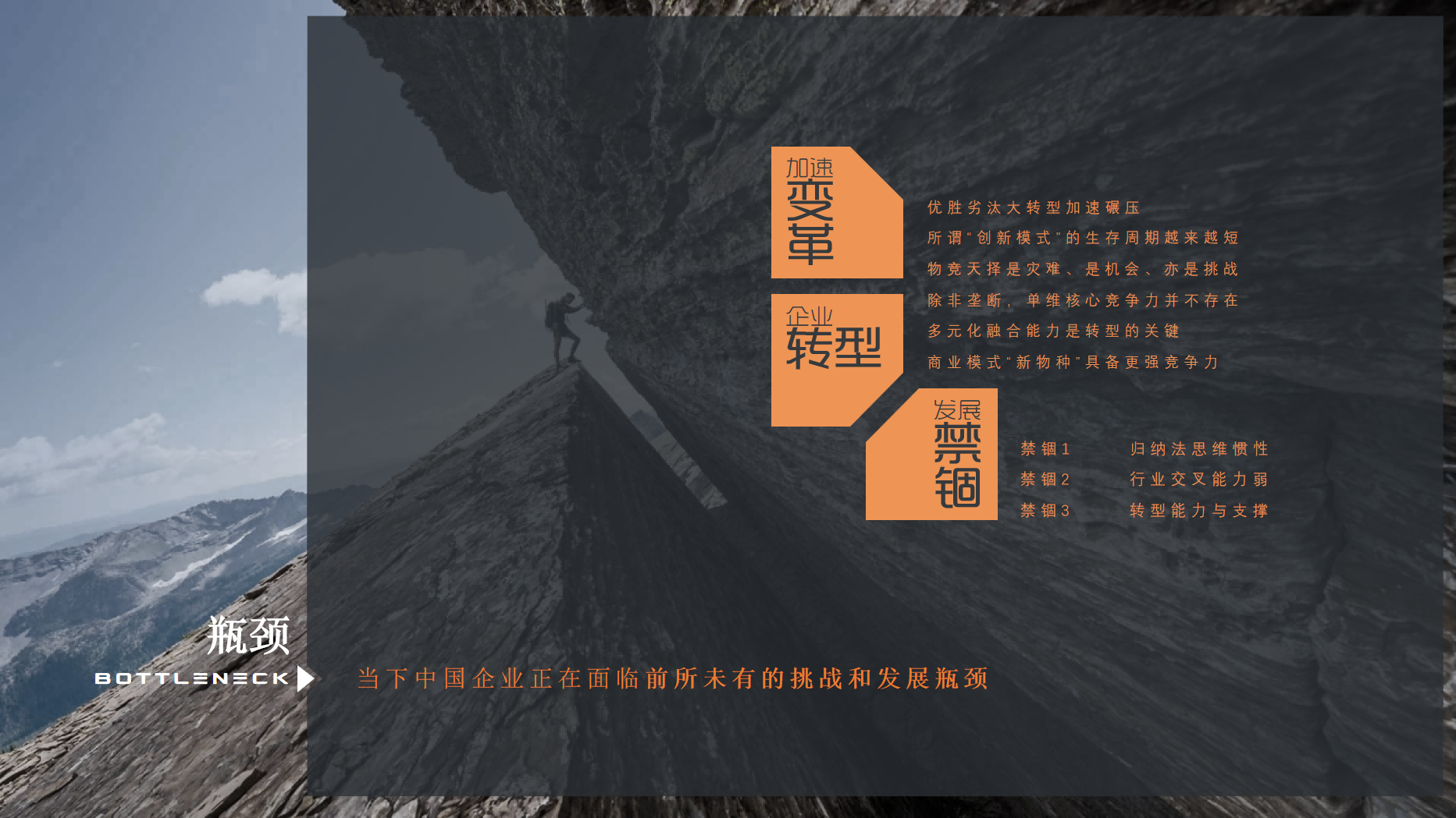 描述