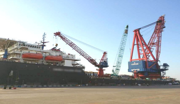 Heavy lifting crane