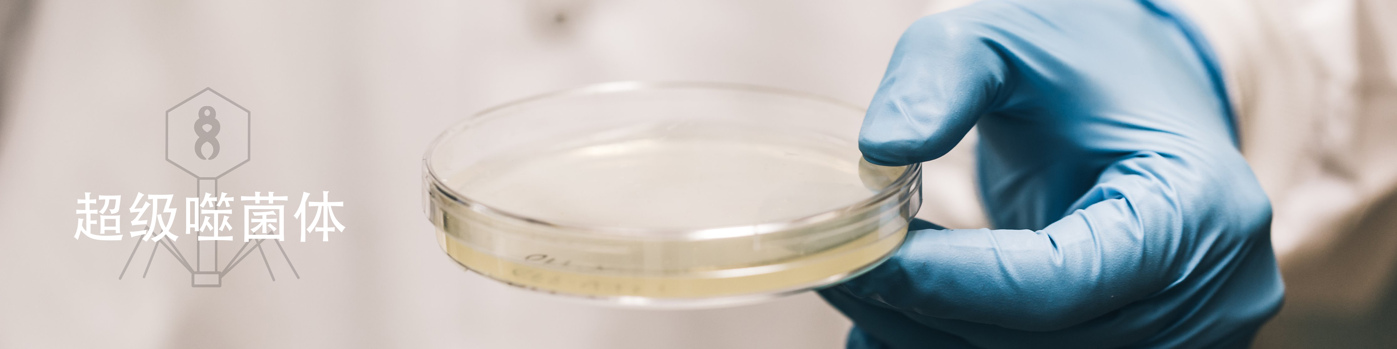 scientist-holding-agar-pietri-dish