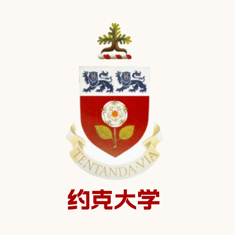 约克大学