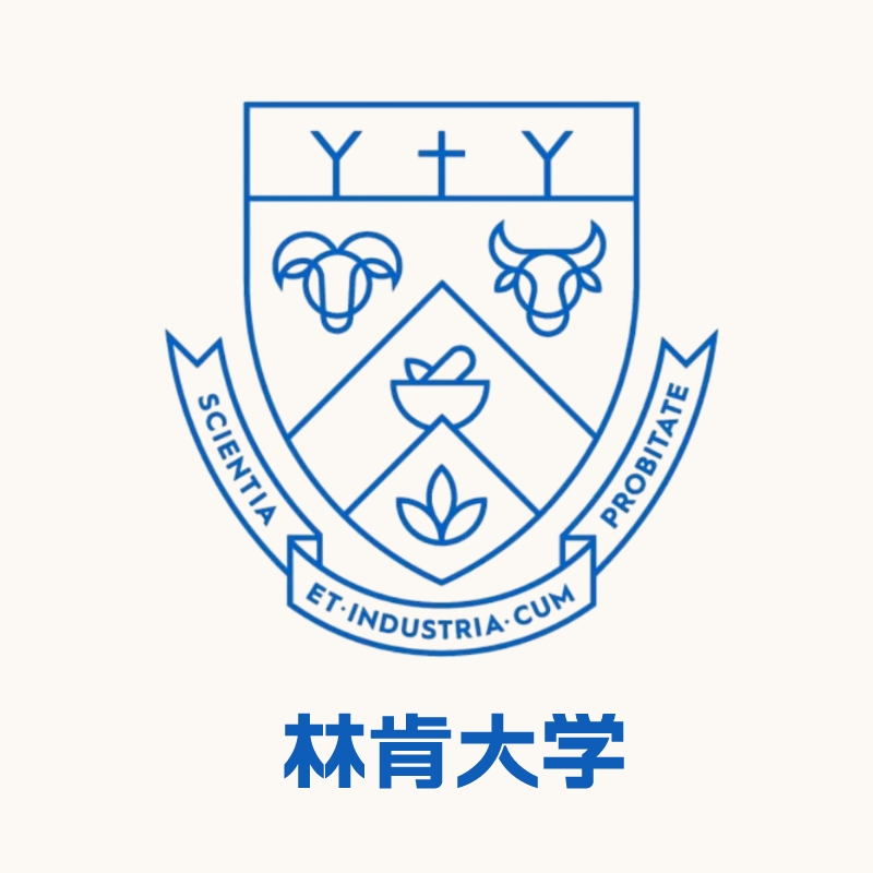 林肯大学