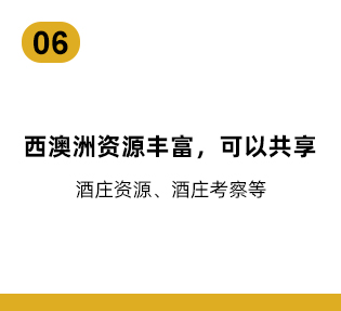 描述