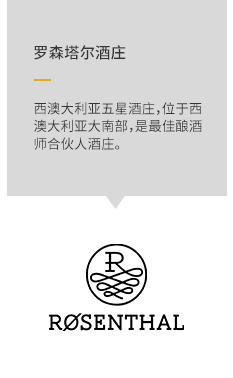 描述