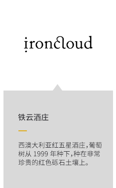 描述