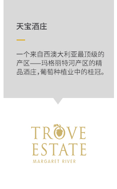 描述