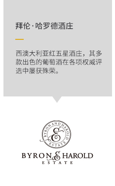 描述