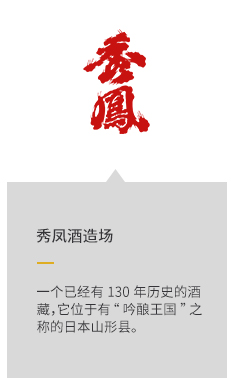 描述