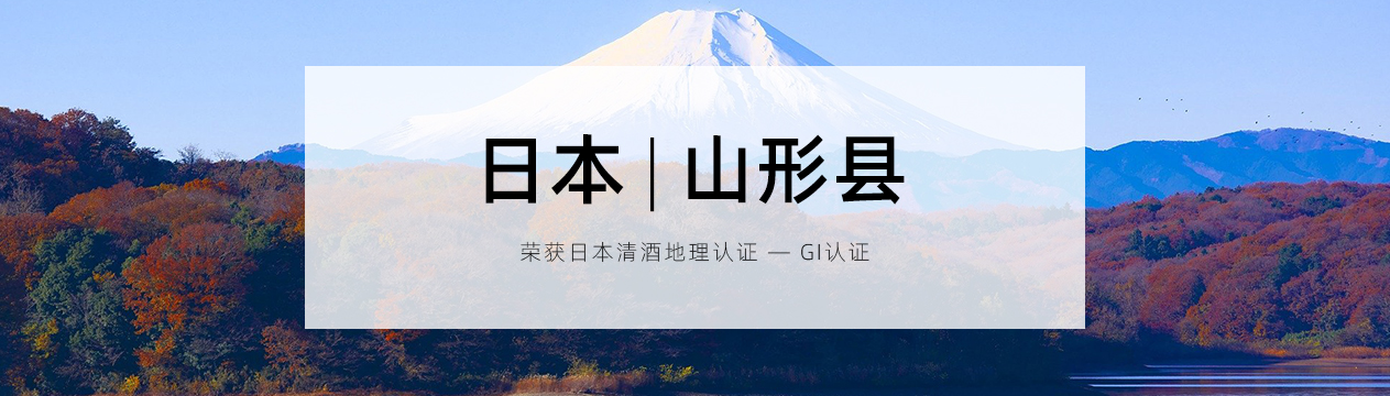 描述
