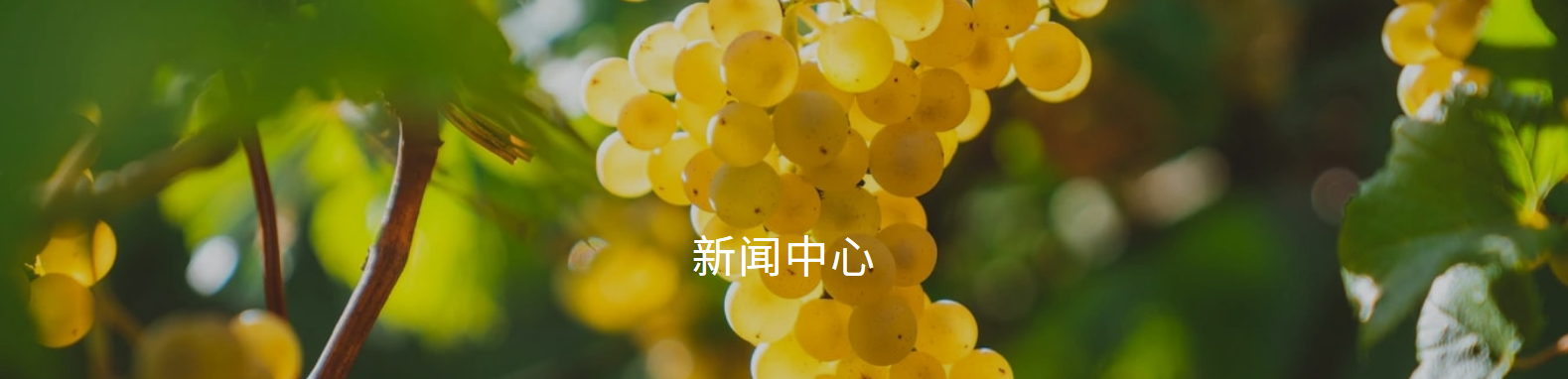描述