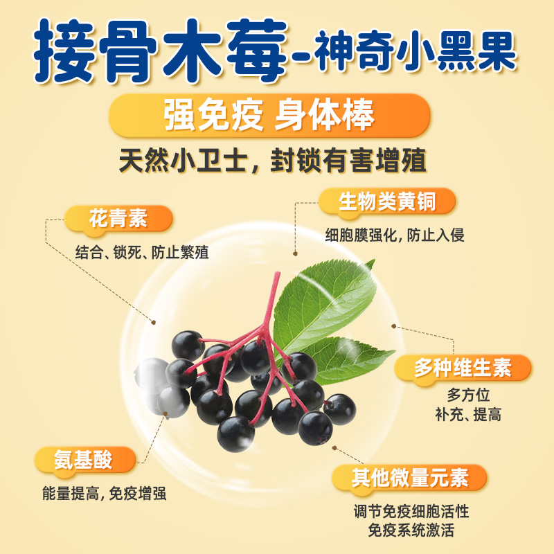 浣小亲小分子牛脾肽接骨木酶饮