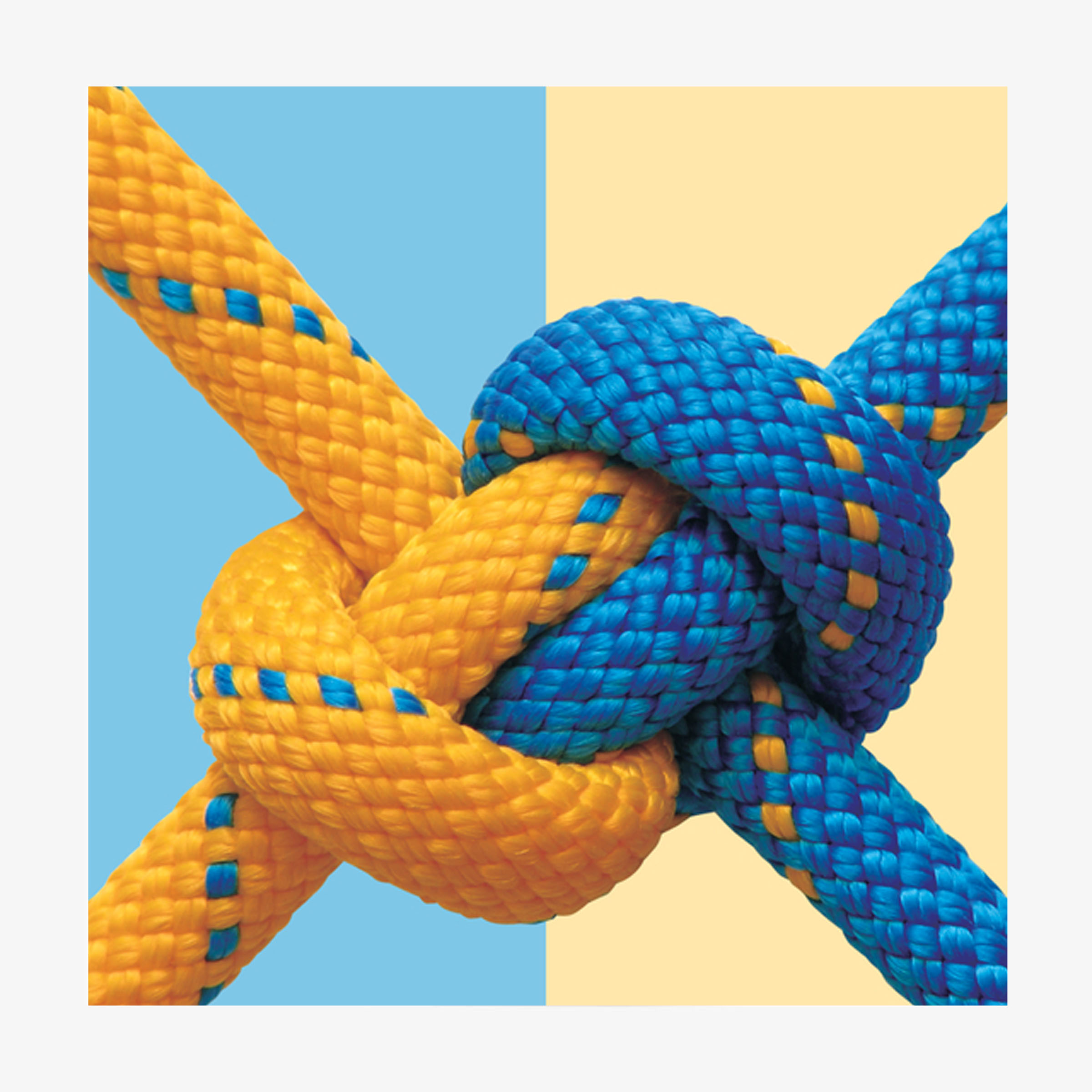 Excellent employee partner platform company was established