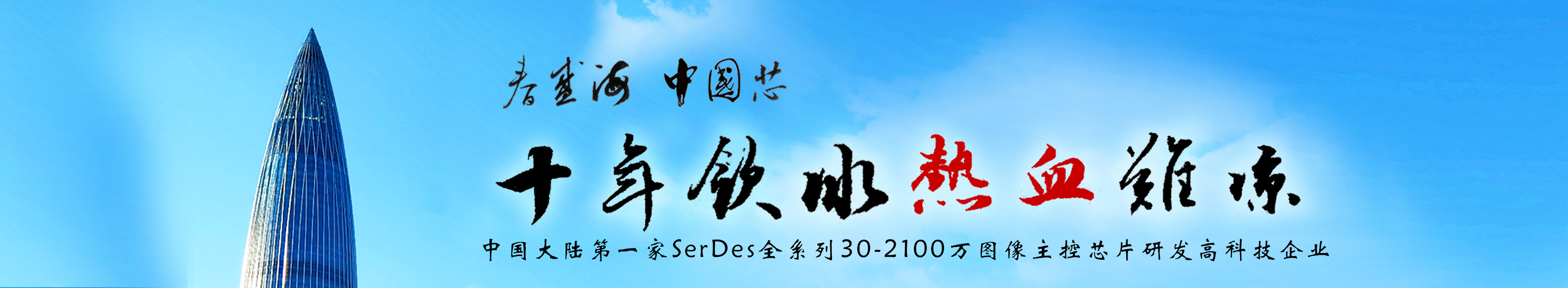 描述