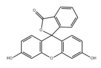 Fluorescein