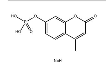 4-METHYLUMBELLIFERYL PHOSPHATE DISODIUM SALT