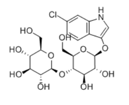 6-氯-3-吲哚基 BETA-D-纖維二糖苷