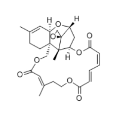 Verrucarin J