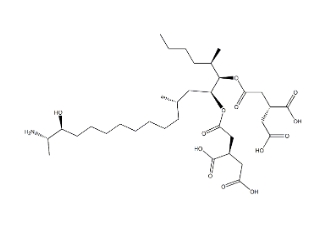 伏马菌素B4