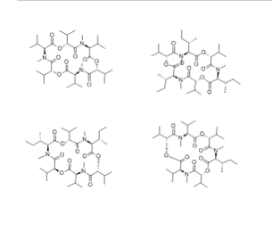 恩鐮孢菌素復(fù)合物