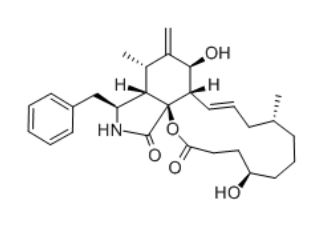 Dihydrocytochalasin B