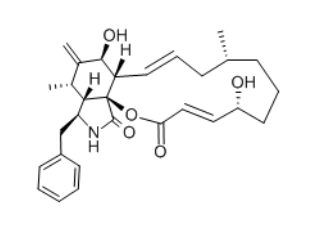 Cytochalasin B