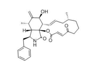 Cytochalasin A