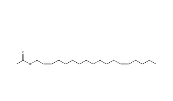 [(2Z,13Z)-octadeca-2,13-dienyl] acetate