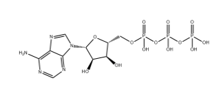 Adenosine triphosphate