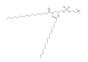 1,2-DIPALMITOYL-SN-GLYCERO-3-PHOSPHOCHOLINE