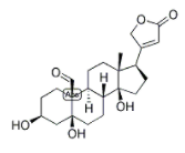 STROPHANTHIDIN