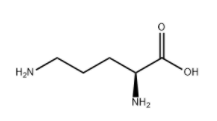 L-Ornithine