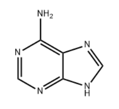 Adenine