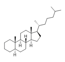 5α-Cholestane