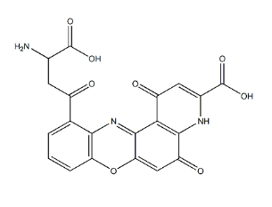 xanthommatin