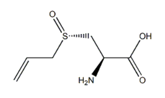 (S)-3-(Allylsulphinyl)-L-alanine