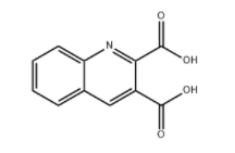 2,3-Quinoline dicarboxylic acid