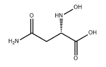 L-ASPARTIC ACID BETA-HYDROXAMATE