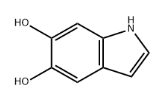 5,6-DIHYDROXYINDOLE