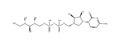 cytidine diphosphate ribitol