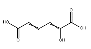 2-hydroxymuconic acid