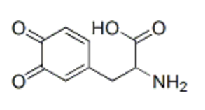 4-(2-Carboxy-2-aminoethyl)-1,2-benzoquinone