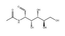 N-ACETYL-D-MANNOSAMINE