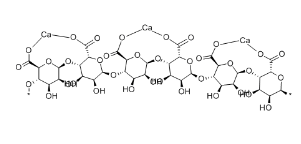 Calcium Alginate