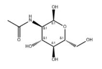 N-ACETYL-ALPHA-D-GLUCOSAMINE