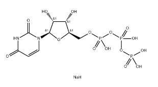 Uridine-5'-triphosphoric acid trisodium salt