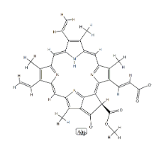 CHLOROPHYLL C2(SH)