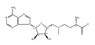 S-Adenosyl-L-methionine