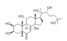 turkesterone