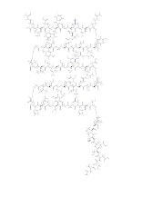 Epidermal Growth Factor