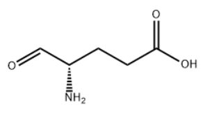 glutamate-1-semialdehyde